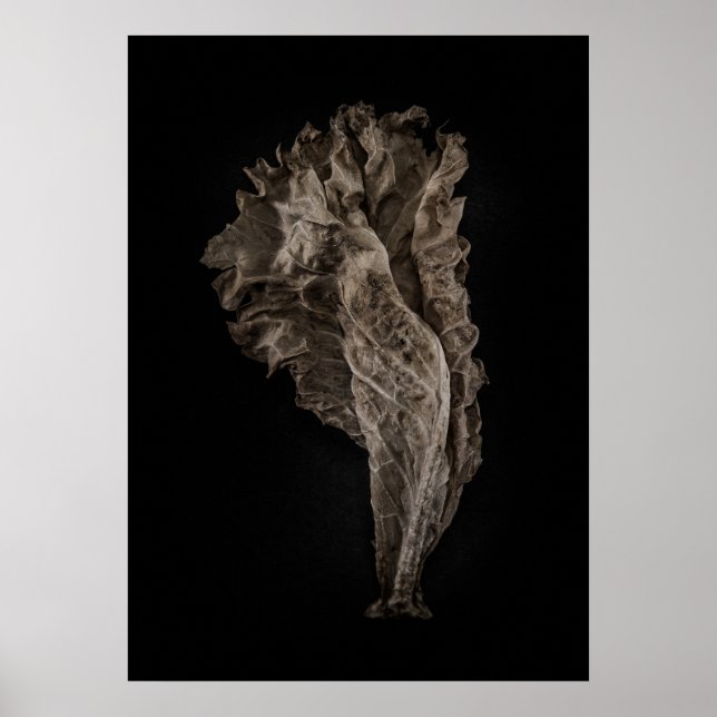 Leaves No 8 Color Version Poster (Front)