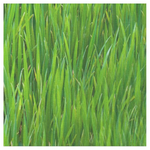 Leaves of Grass Fabric