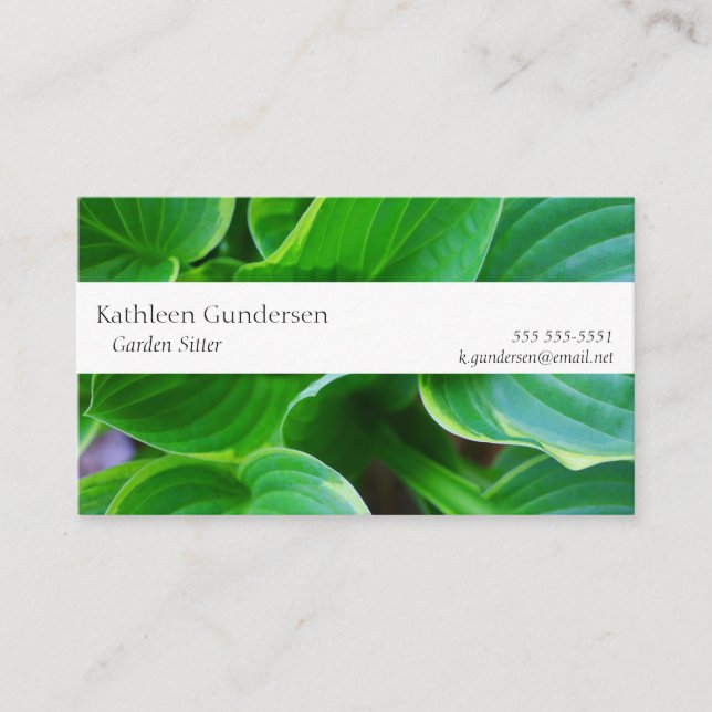Leaves of hosta plants business card (Front)