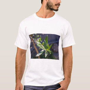 Leaves of olive tree T-Shirt