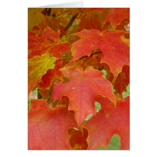 Leaves of Red Cards