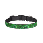 Leaves Of Tropical Palm Trees Pet Collar