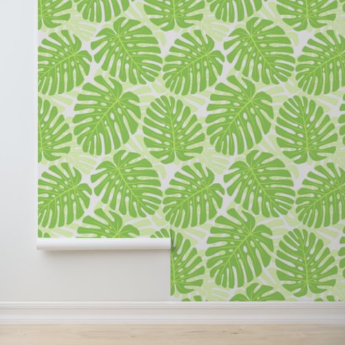 Leaves Of Tropical Plant _ Monstera Pattern Wallpaper