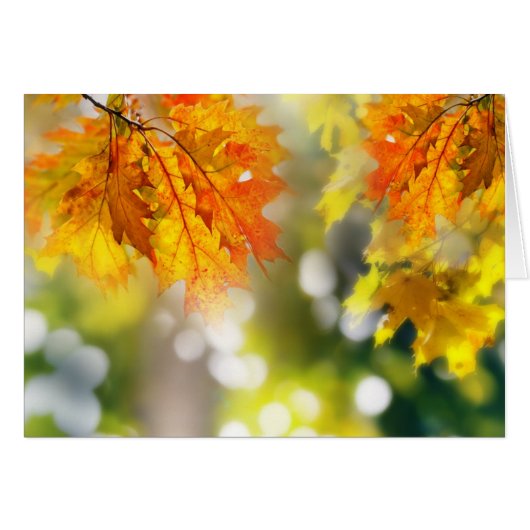 Leaves on the branches in the autumn forest (Front Horizontal)