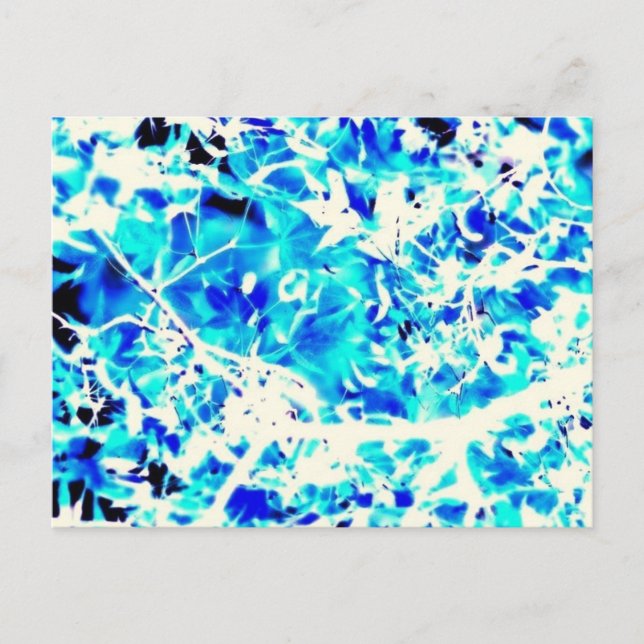 Leaves Postcard (Front)