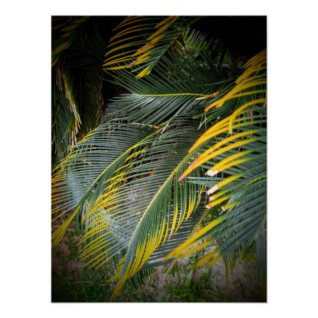 Leaves Poster (Front)