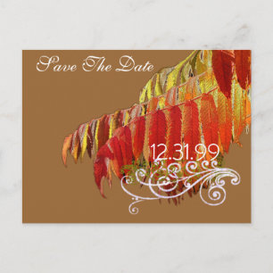 Leaves Save The Date Announcement Postcard