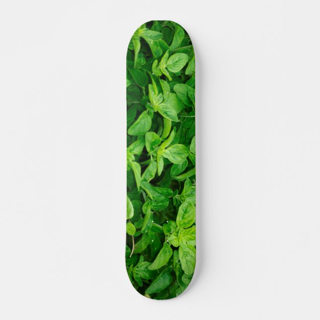 Leaves Skateboard 2 Deck (Front)