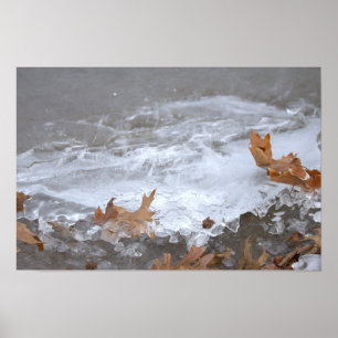 Leaves Stuck in Ice Poster