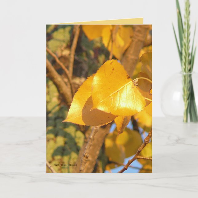 Leaves That Talk Card (Front)