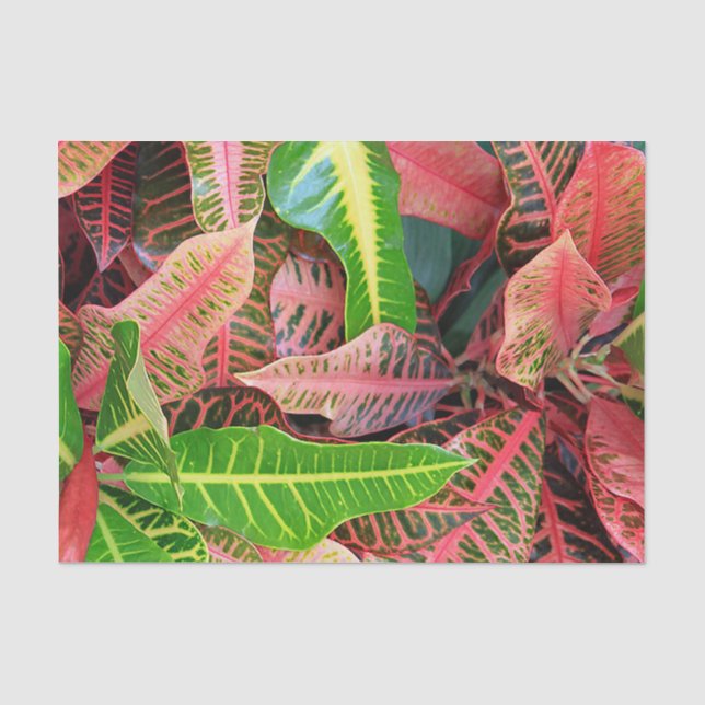 Leaves Tissue Paper (Front)