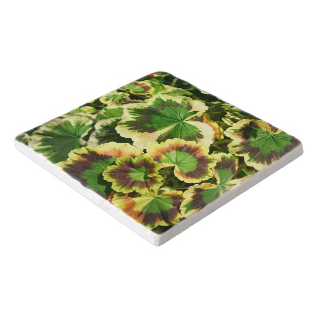 Leaves Trivet (Corner)