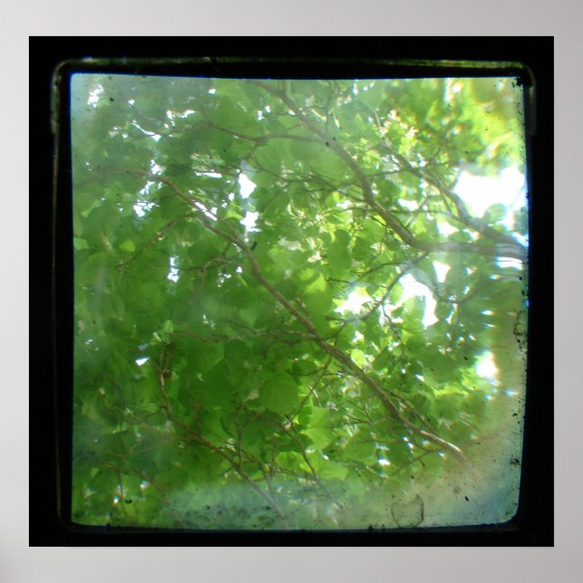 Leaves TTV Poster (Front)