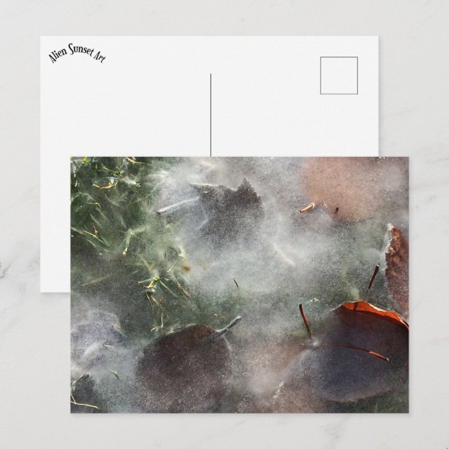 leaves under ice postcard (Front/Back)