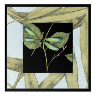 Leaves with Dragonfly Inset by Jennifer Goldberger Acrylic Print