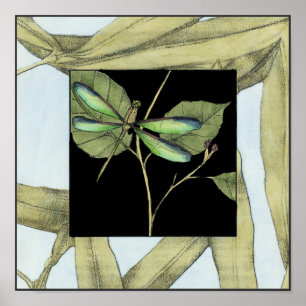 Leaves with Dragonfly Inset by Jennifer Goldberger Poster