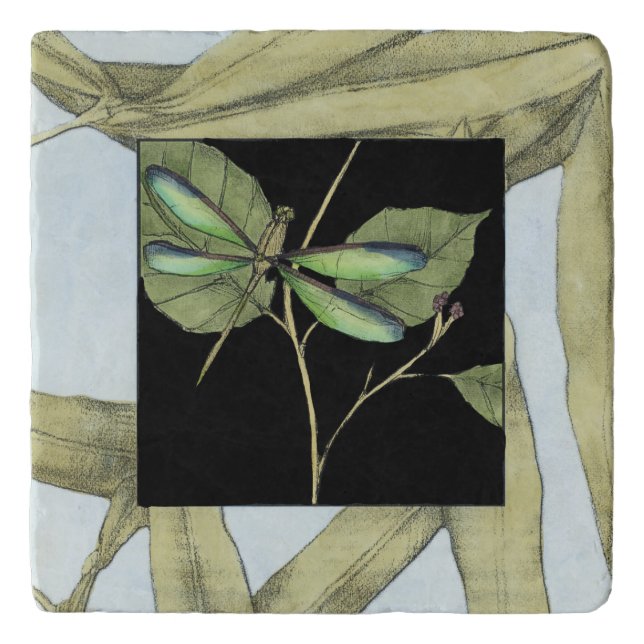 Leaves with Dragonfly Inset by Jennifer Goldberger Trivet (Front)