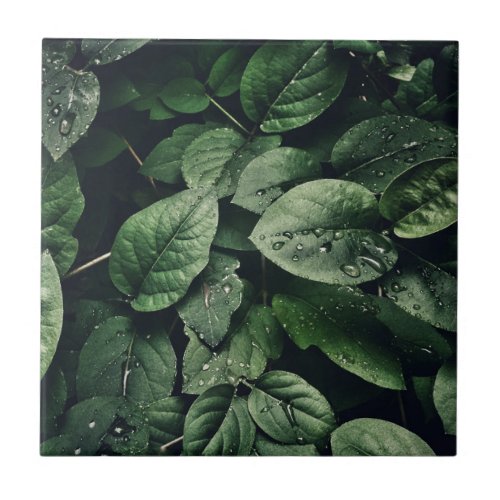 Leaves With Droplets Ceramic Tile