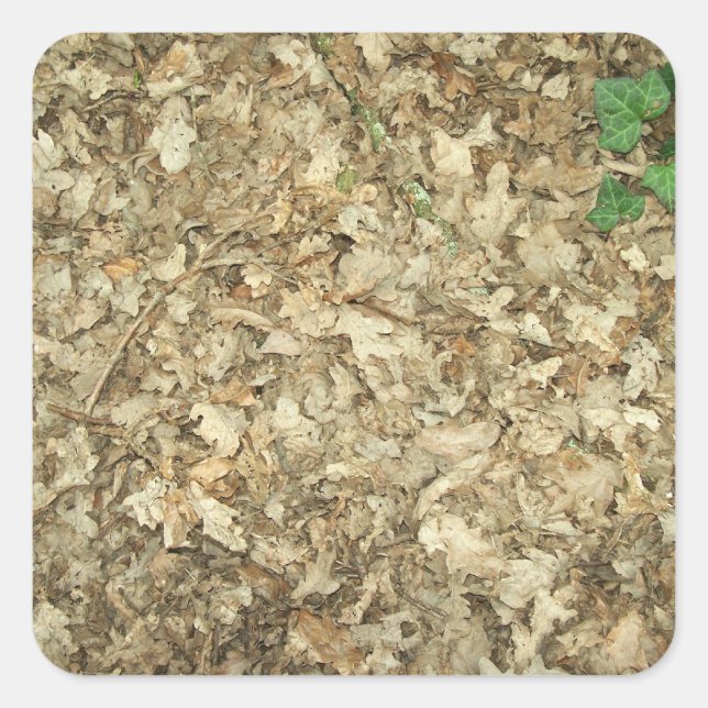 Leaves. Woodland floor. Leafy ground. Square Sticker (Front)