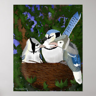 Leaving the Nest Blue Jay Poster