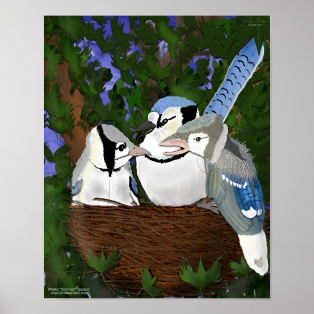 Leaving the Nest Blue Jay Poster (Front)