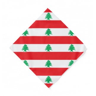 Lebanese Flag, Kids/Small Bandana