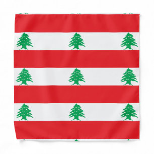 Lebanese Flag, Kids/Small Bandana