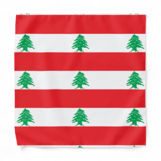 Lebanese Flag, Kids/Small Bandana