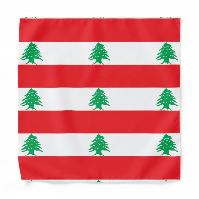 Lebanese Flag, Kids/Small Bandana (Front)