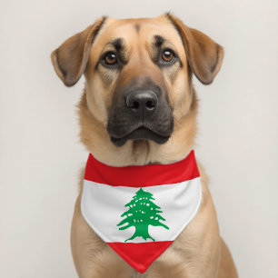 Lebanon flag pet bandana collar