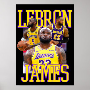 lebron james, nba, basketball, king james, slam du poster