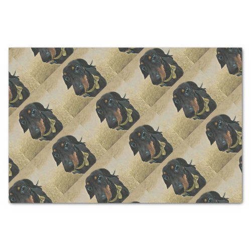 LeBron the Dachshund Wrapping paper Tissue Paper