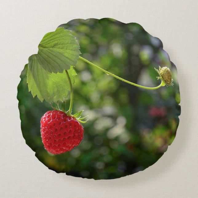 Leckere Erdbeer Zeit Round Pillow (Front)
