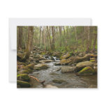 LeConte Creek at Great Smoky Mountains