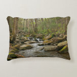 LeConte Creek at Great Smoky Mountains Accent Pillow