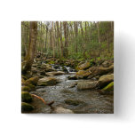 LeConte Creek at Great Smoky Mountains Button