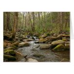 LeConte Creek at Great Smoky Mountains Card