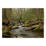 LeConte Creek at Great Smoky Mountains Cards