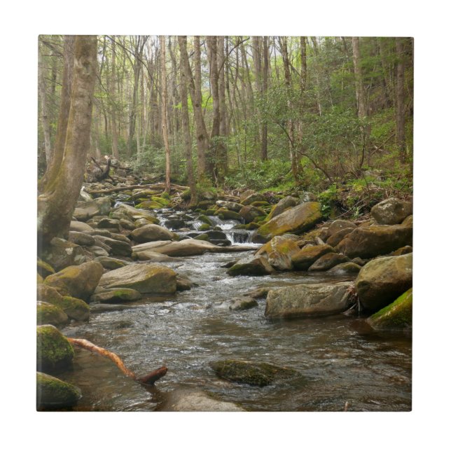LeConte Creek at Great Smoky Mountains Ceramic Tile (Front)