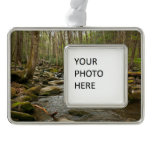 LeConte Creek at Great Smoky Mountains Christmas Ornament