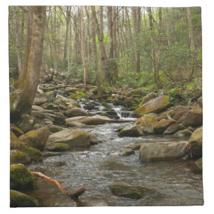 LeConte Creek at Great Smoky Mountains Cloth Napkin