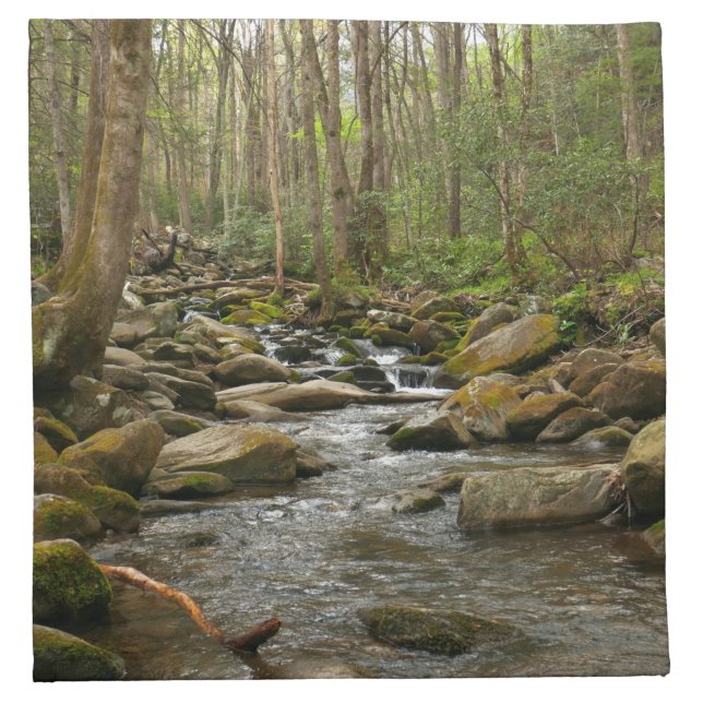 LeConte Creek at Great Smoky Mountains Cloth Napkin (Front)
