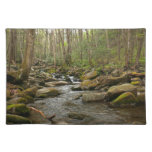 LeConte Creek at Great Smoky Mountains Cloth Placemat