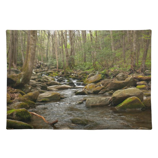 LeConte Creek at Great Smoky Mountains Cloth Placemat (Front)