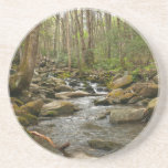 LeConte Creek at Great Smoky Mountains Coaster