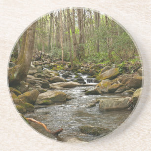 LeConte Creek at Great Smoky Mountains Coaster