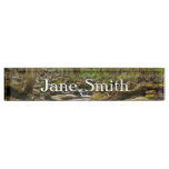 LeConte Creek at Great Smoky Mountains Desk Name Plate