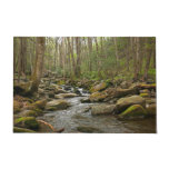 LeConte Creek at Great Smoky Mountains Doormat