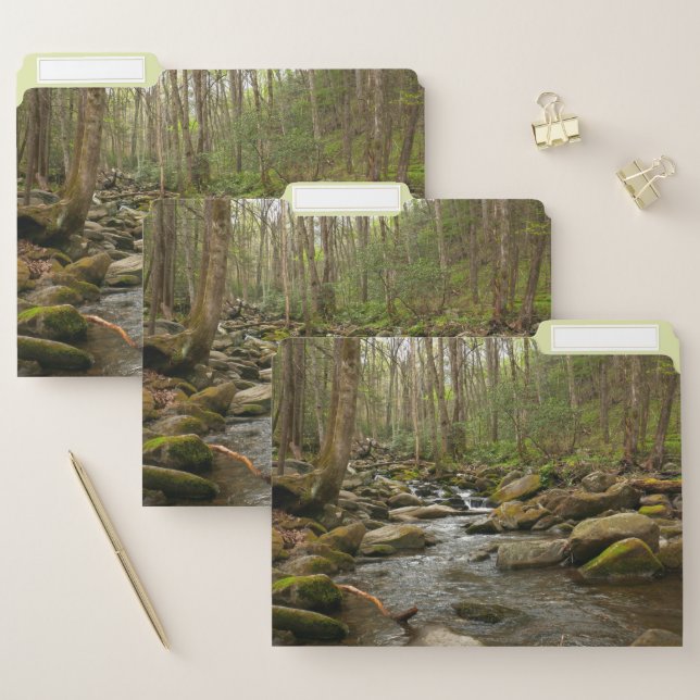 LeConte Creek at Great Smoky Mountains File Folder (Set)
