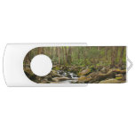 LeConte Creek at Great Smoky Mountains Flash Drive